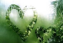 穆古鲁扎连续十场比赛得分超过比赛局势复杂，西班牙队不断突破！的简单介绍